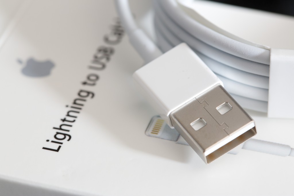 Note the deeper notches on the Lightning's USB connector